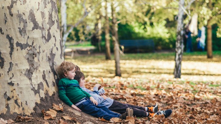 Zwei Jungen lehnen sich an einen Baum im Wald an. Zum Thema kostenlose Freizeittipps für Familien